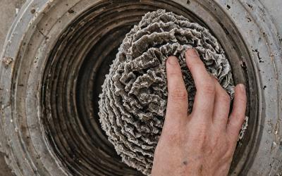 Dryer vent cleaning